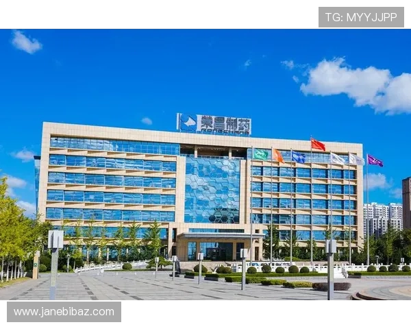 凯发天生赢家官网安全保障措施全解析，确保每位玩家的资金与个人信息安全无忧