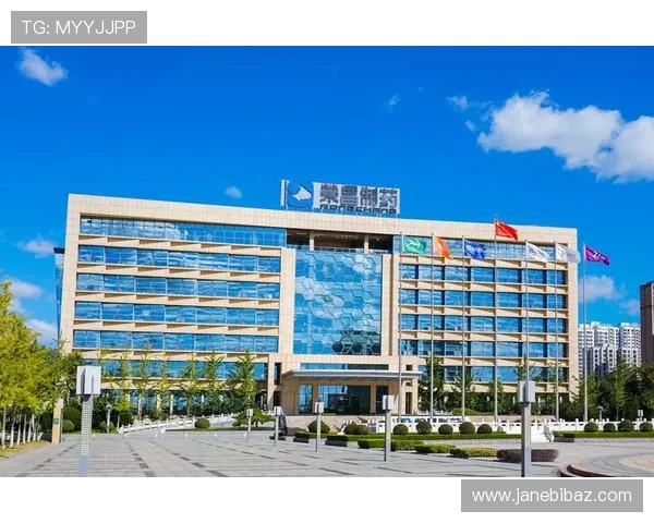 如何利用K8凯发集团娱乐平台进行合理的资金管理与风险控制